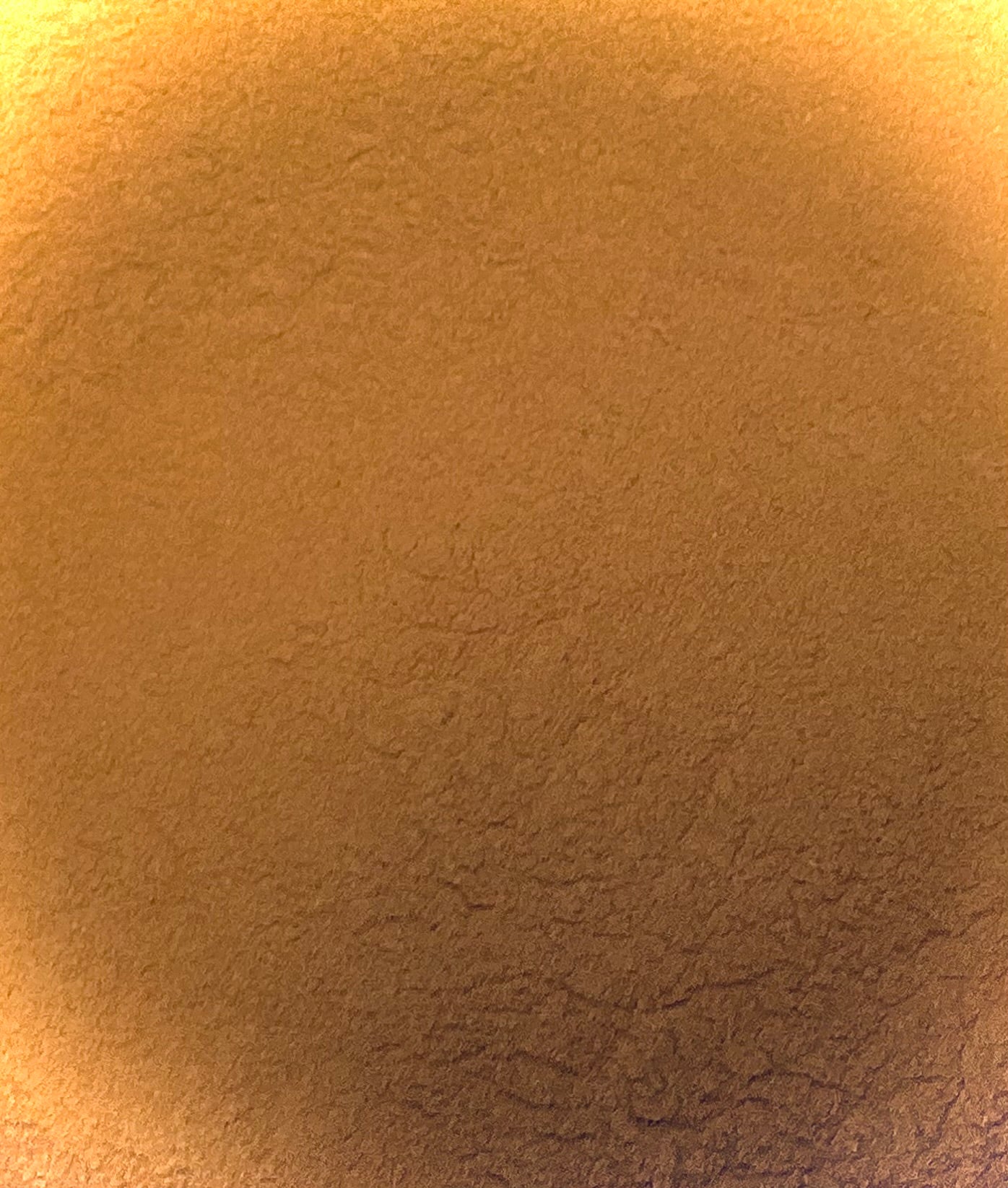 Cinnamon- Korintje (Cinnamomum verum)