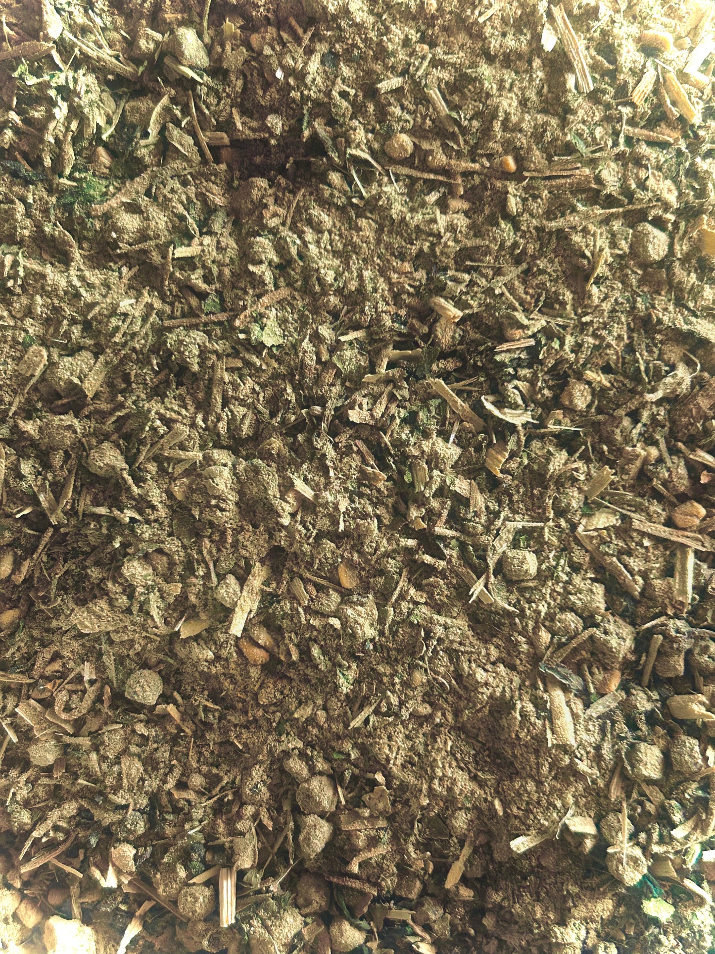Clear Vision Tea