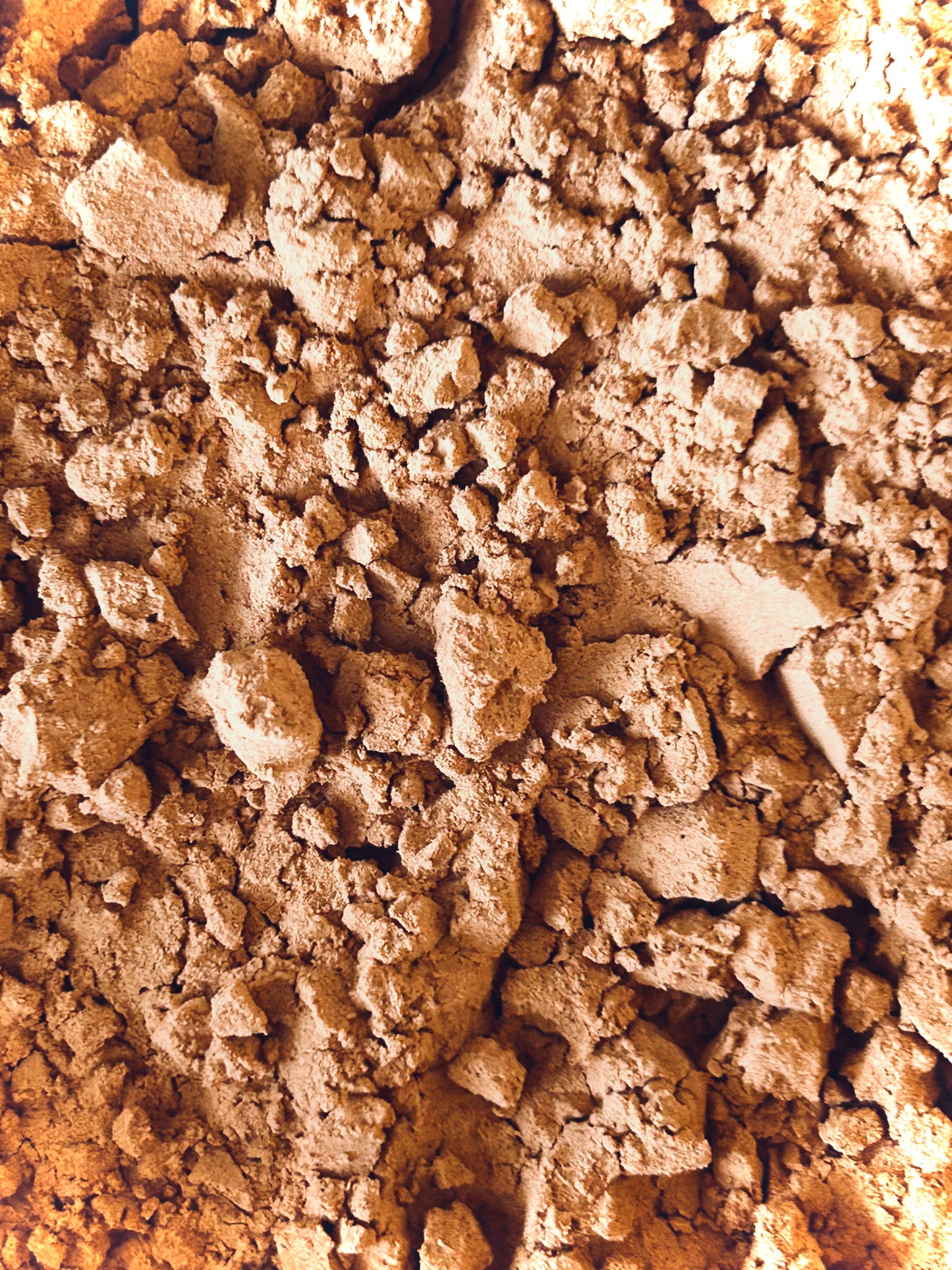Avocado seed powder