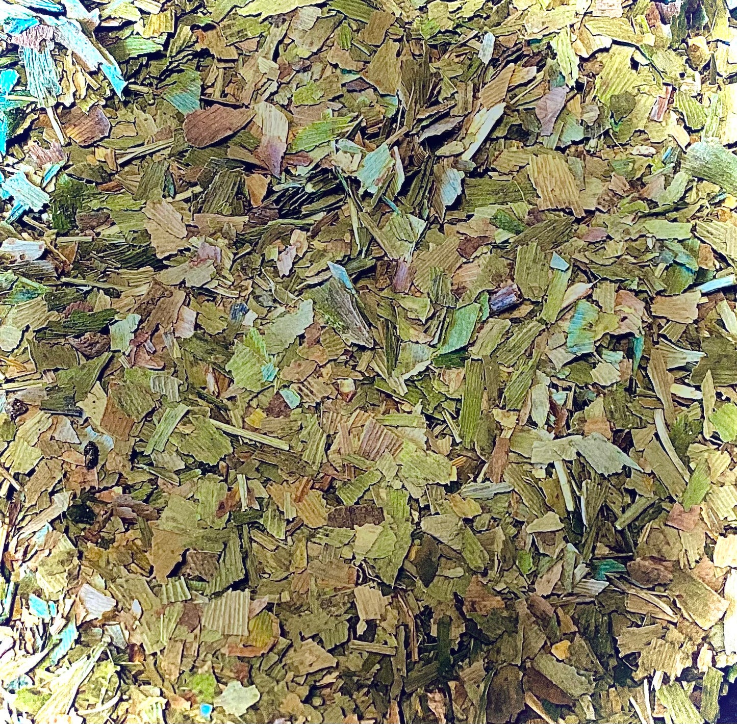 Chaparral Leaf (Larrea Tridentata) Wildcrafted