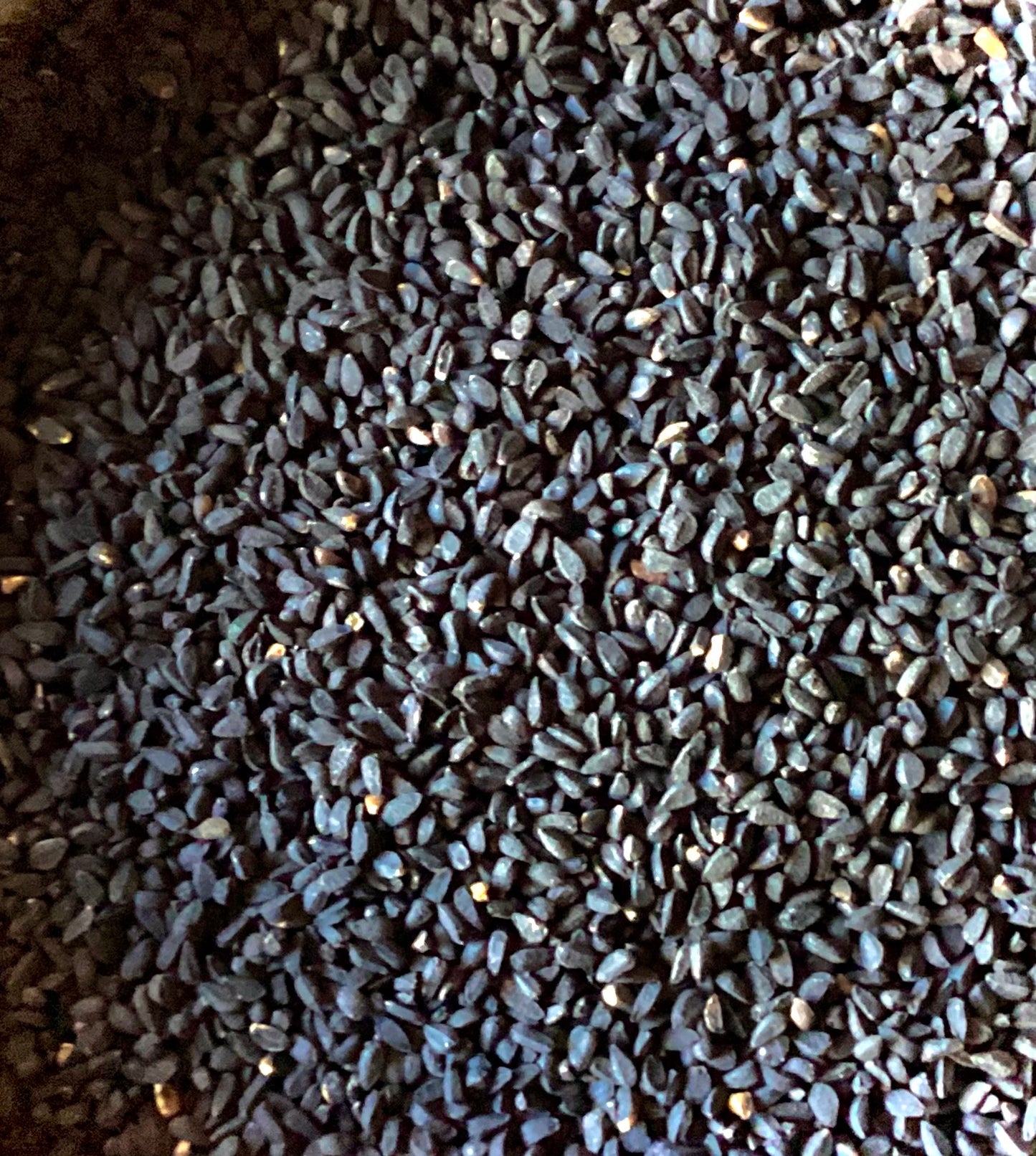 Black Seeds Whole