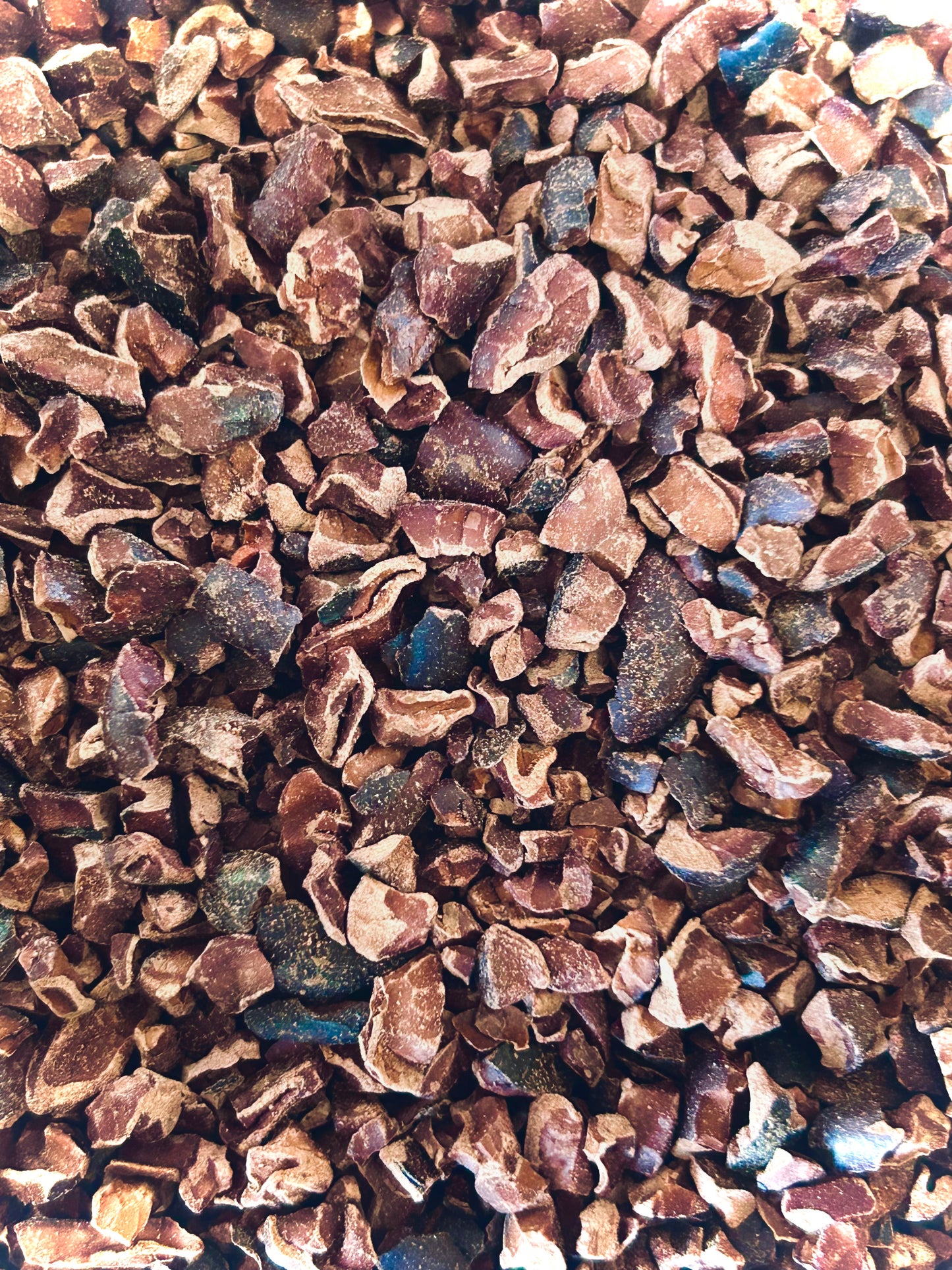 Cacao Nibs