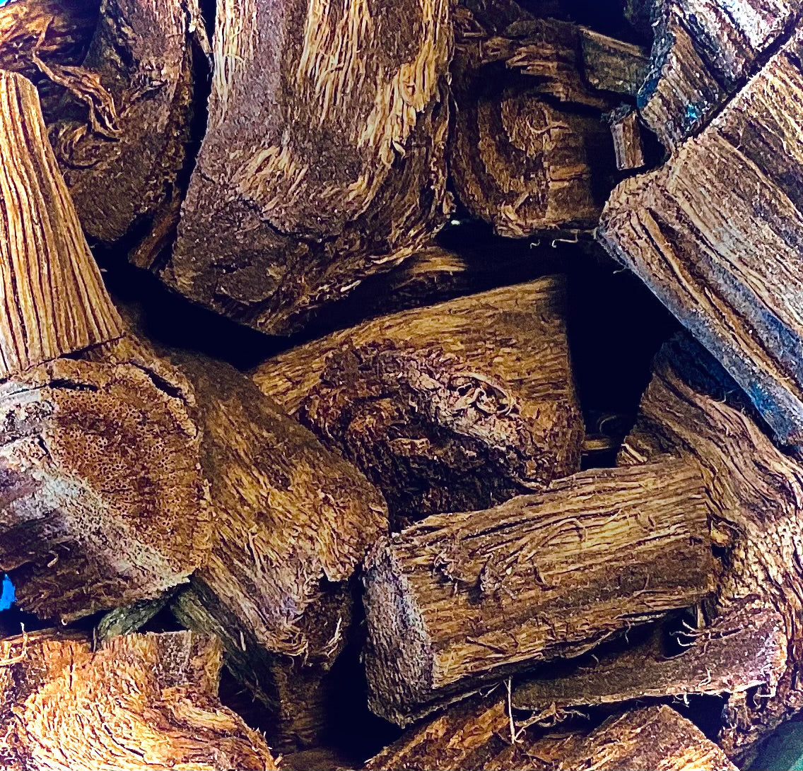 Capadula Root