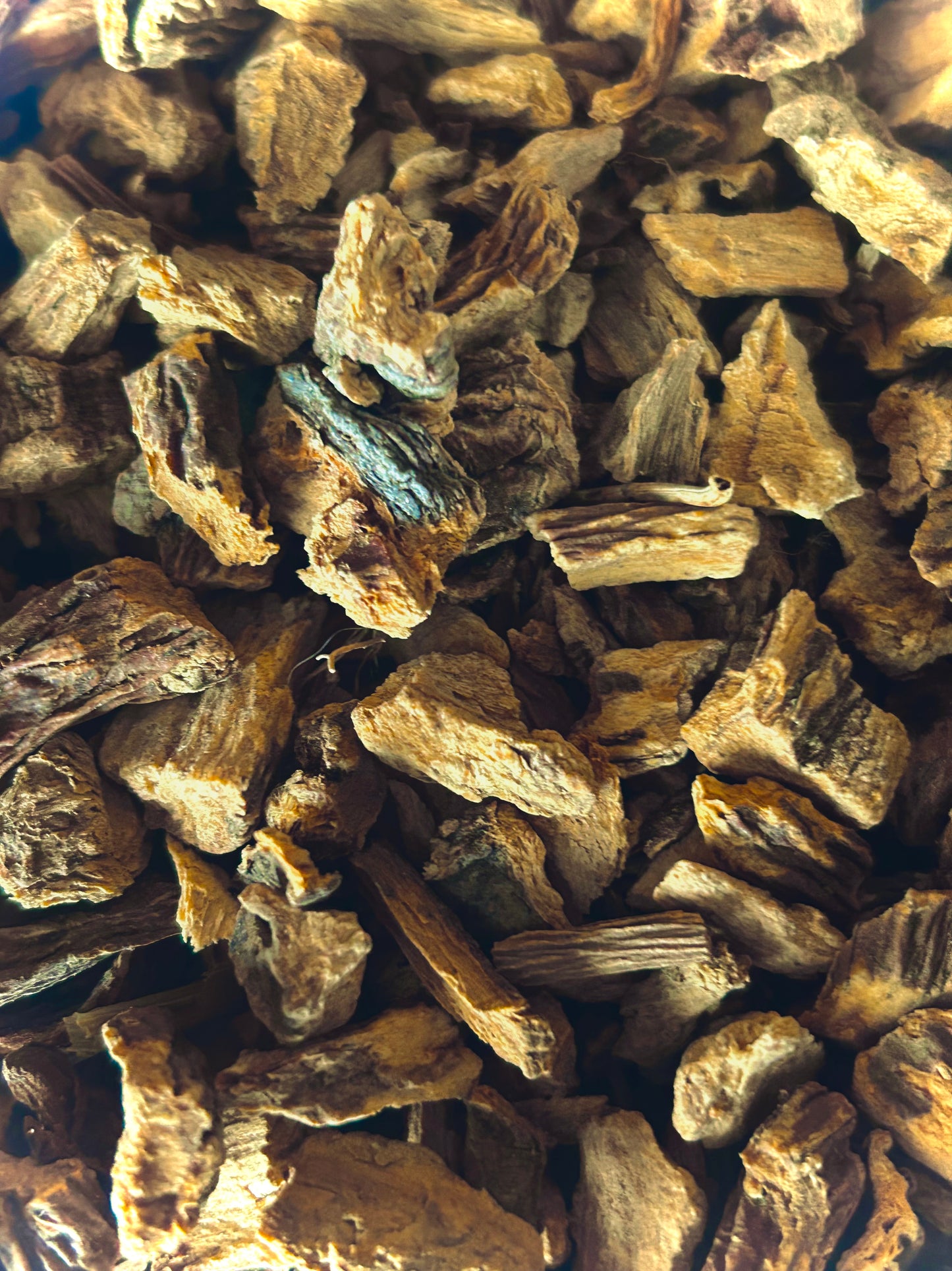 Dong Quai Root, Organic (Angelica sinensis)