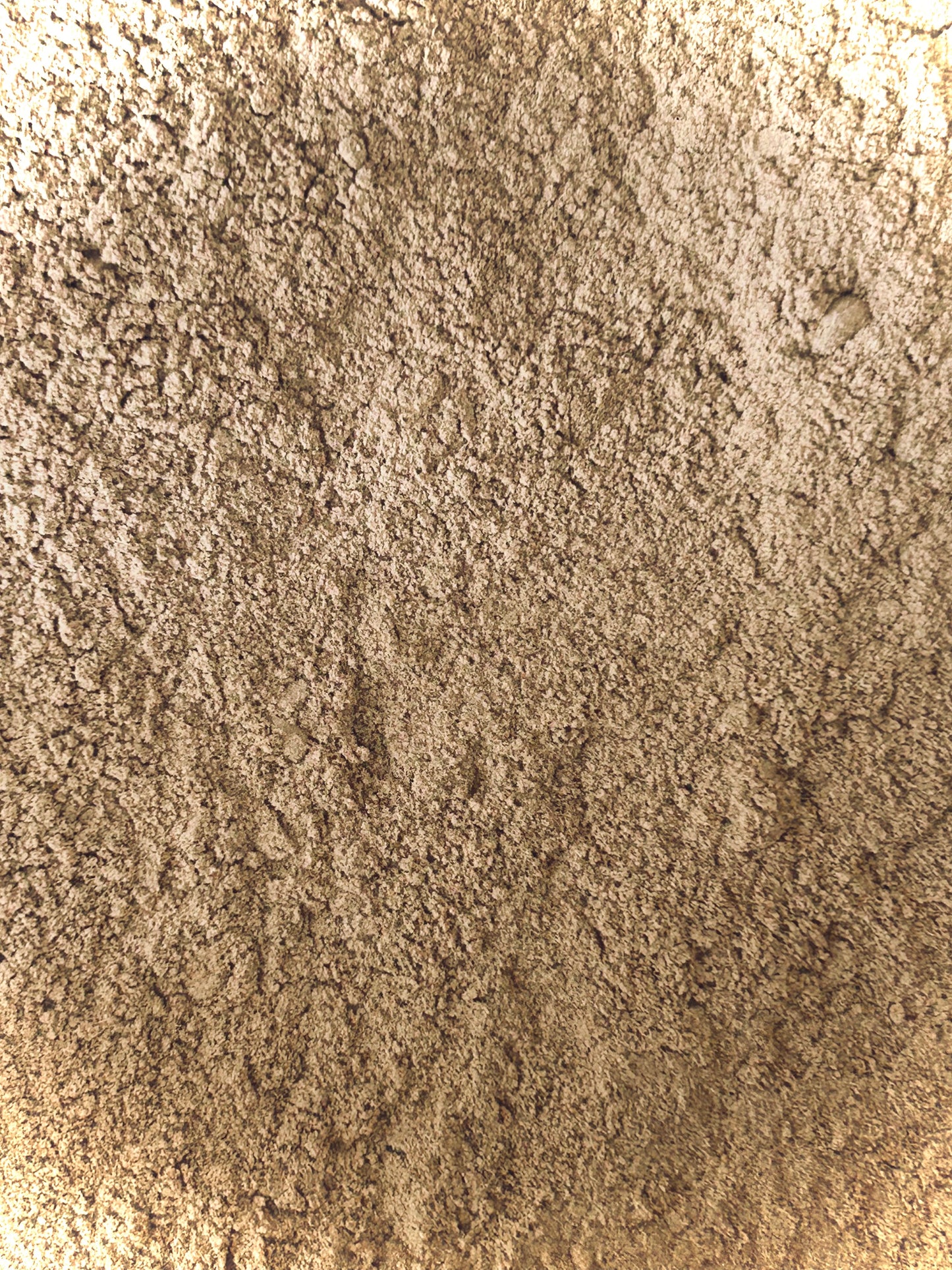 Dong Quai Root Powder (Angelica sinensis)