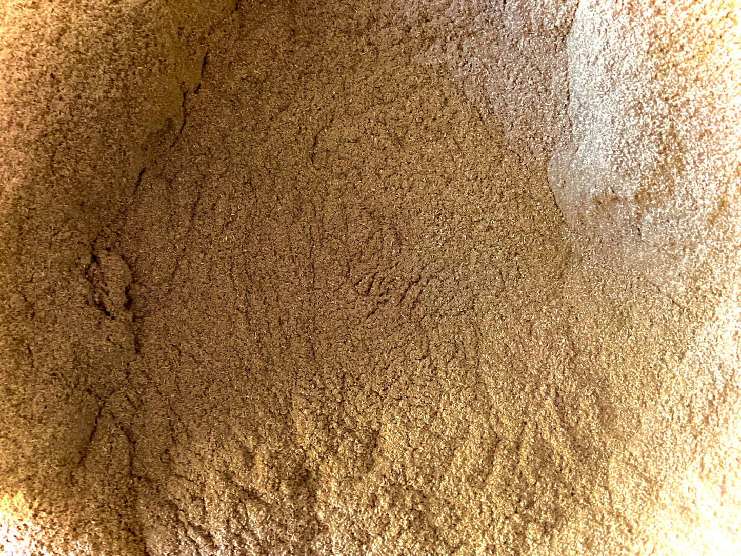 Andrographis powder (Andrographis paniculata)