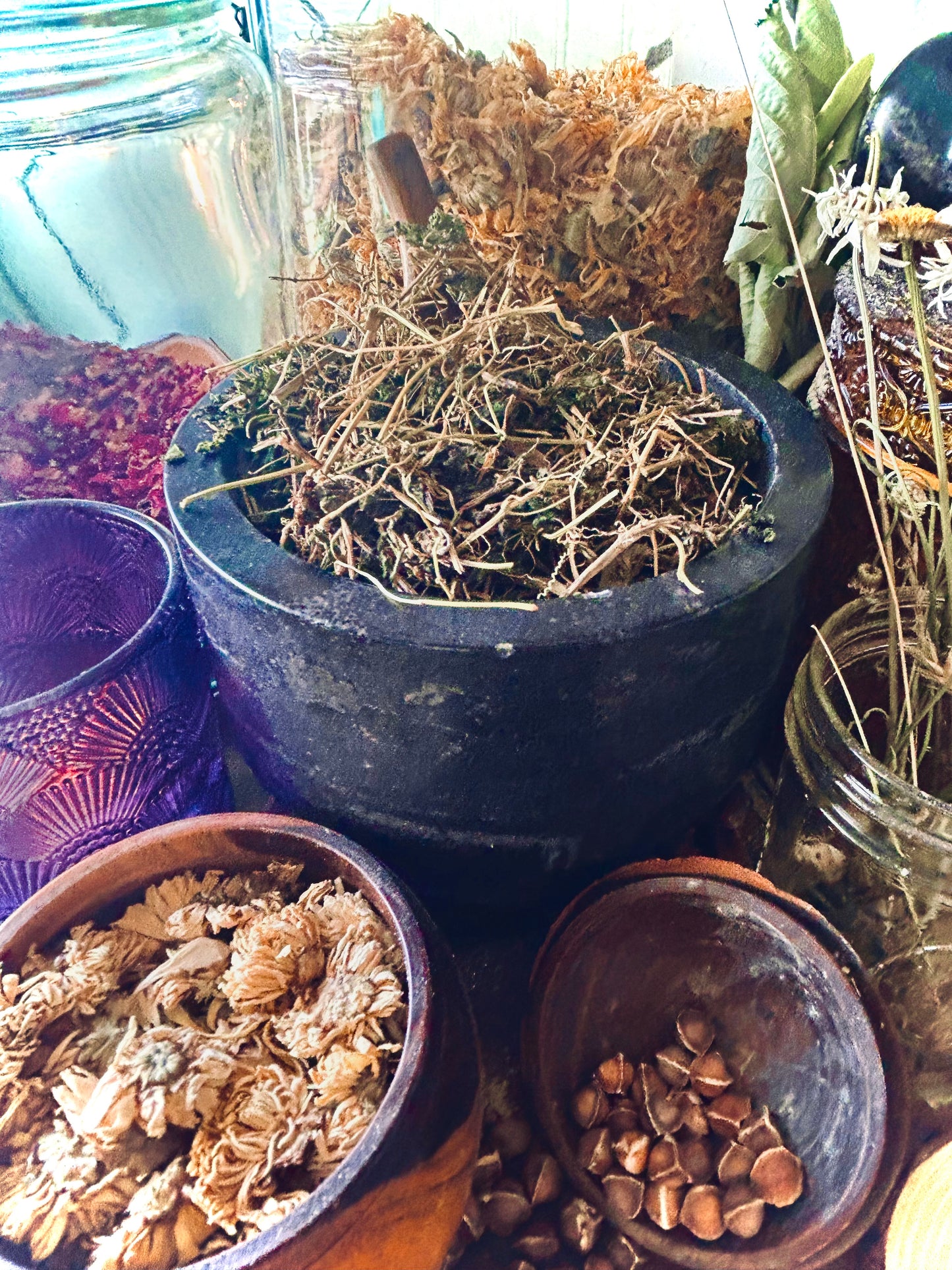 Cerasee Herb