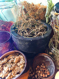 Cerasee Herb