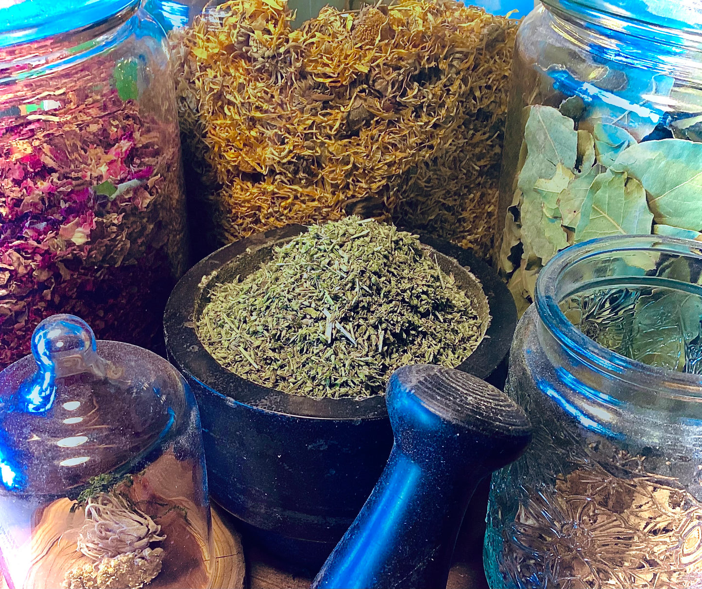 Catnip Herb C/S