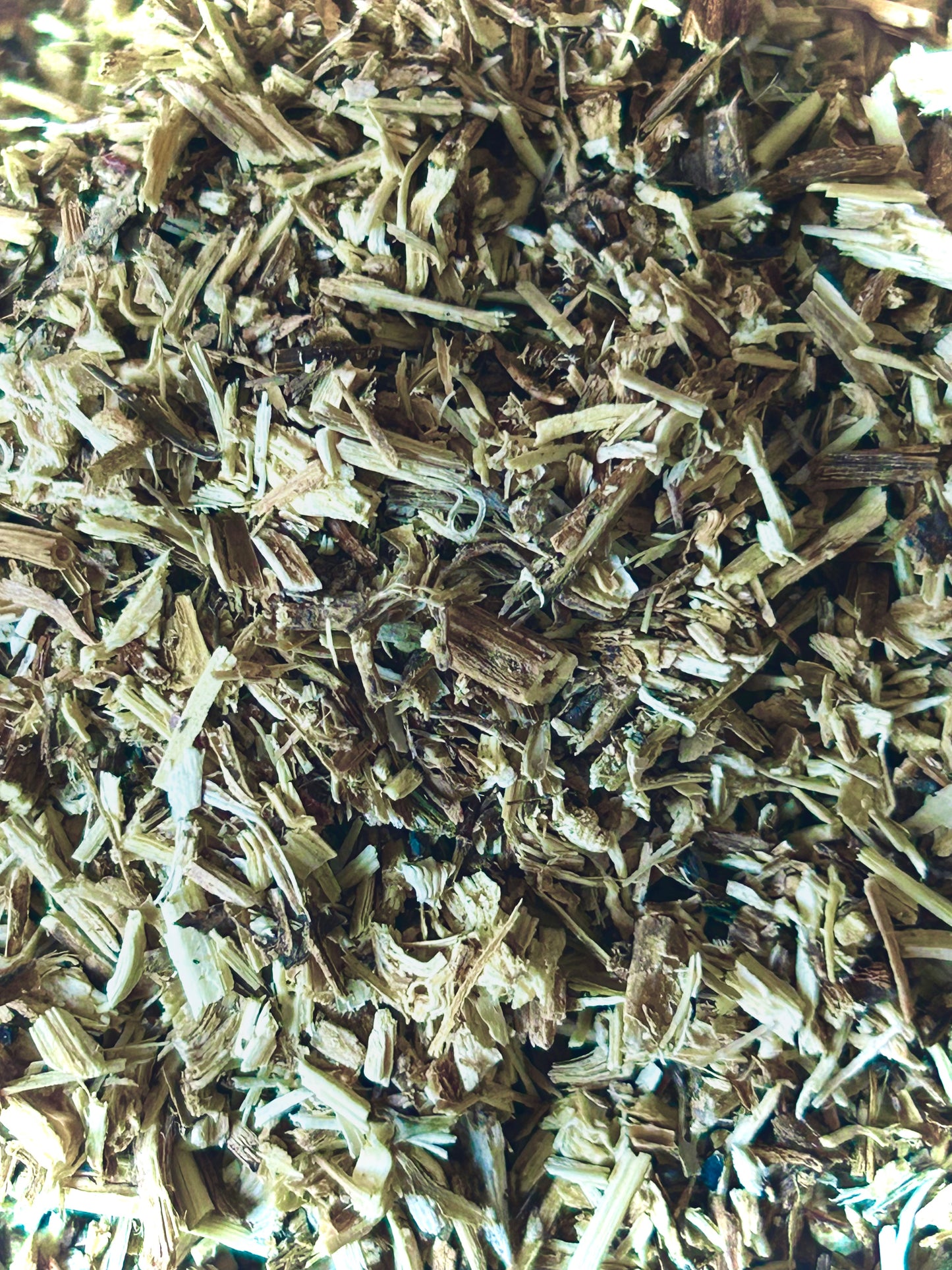 Nettle Root (Urtica dioica)