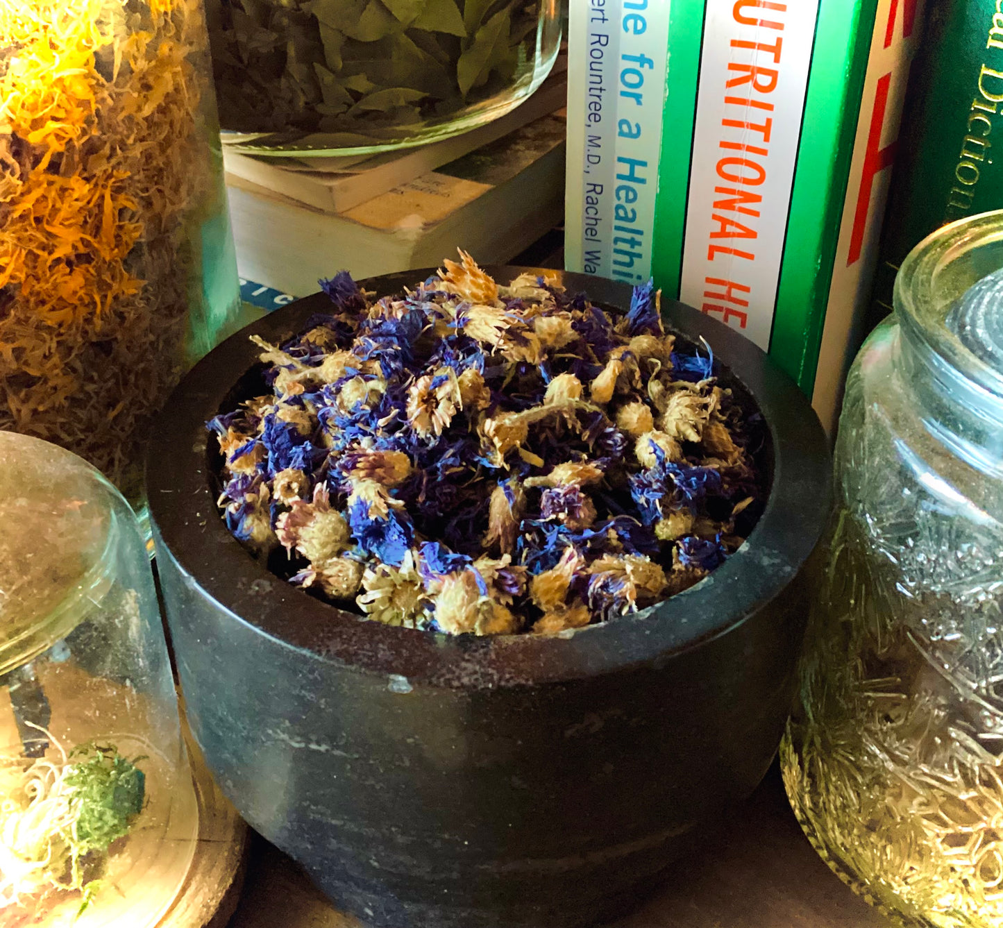 Blue Corn Flower