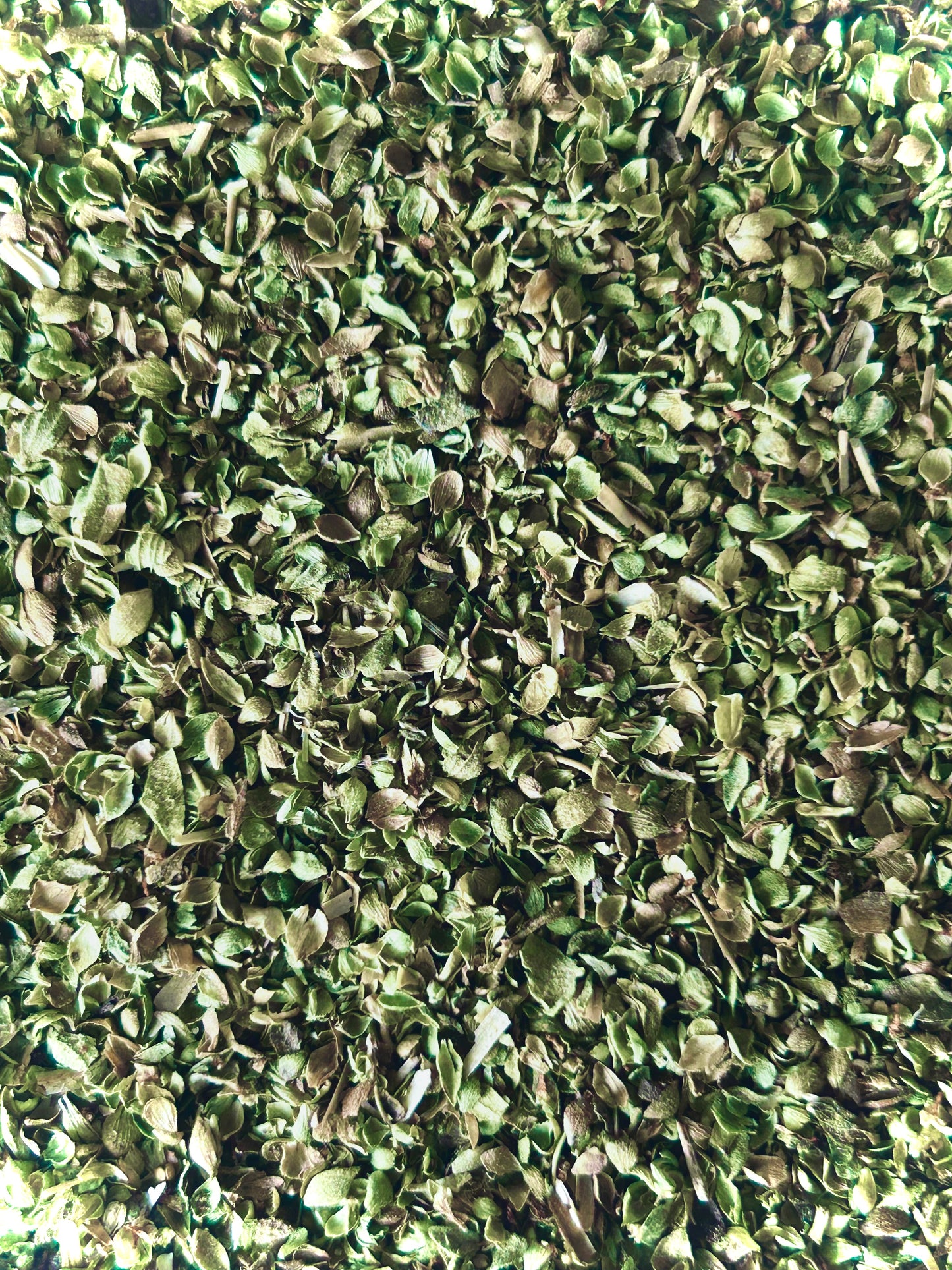 Oregano