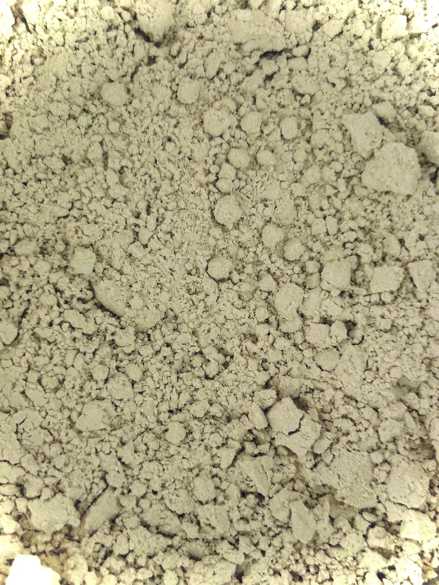 Shatavari Root Powder