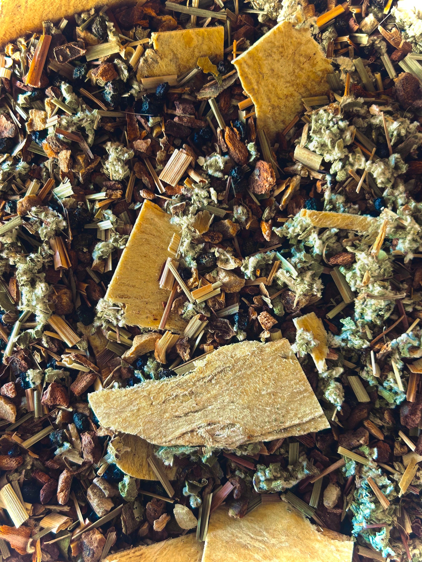 Bug Tea Immune Boosting Tea