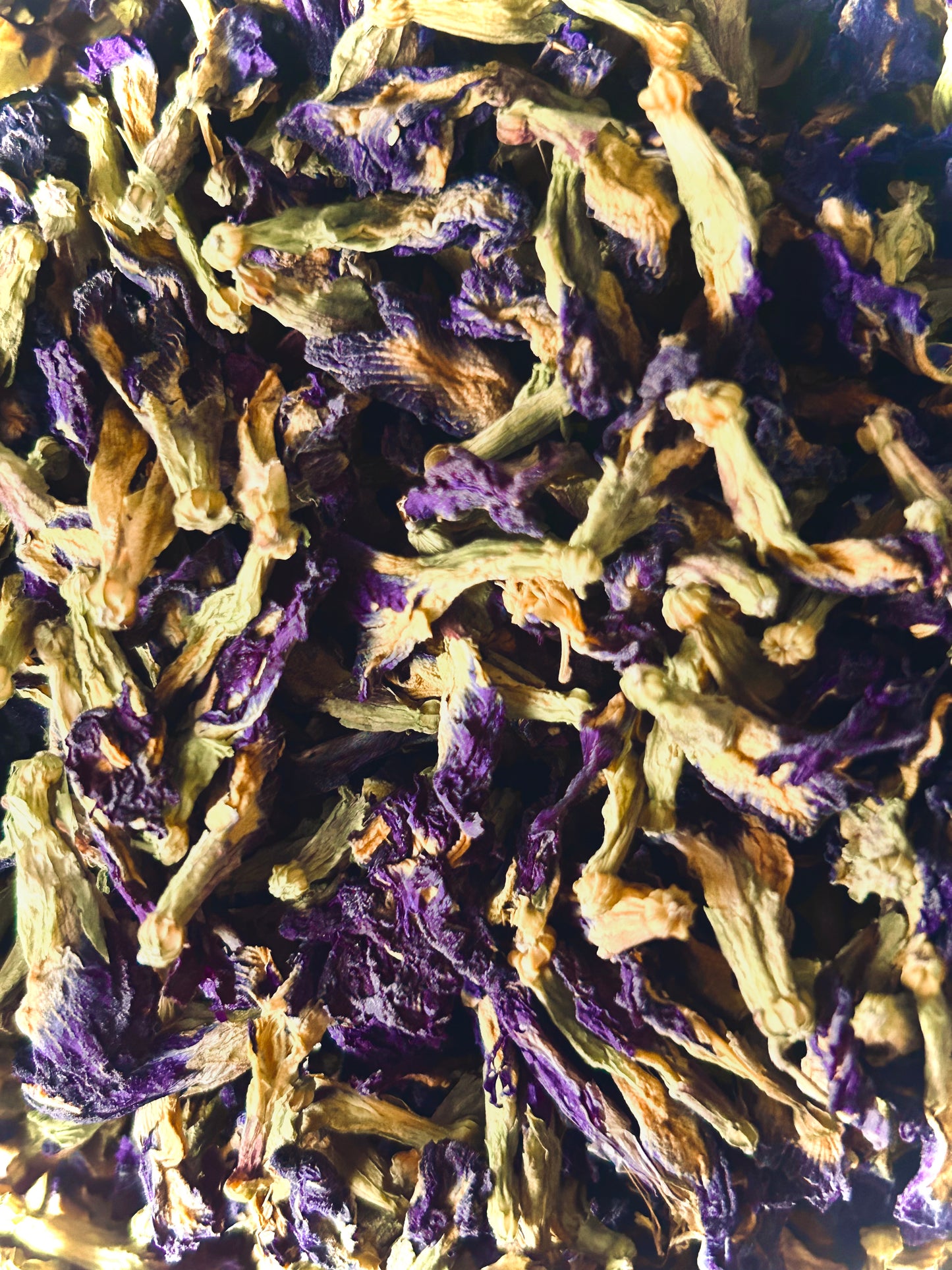 Butterfly Pea Flower