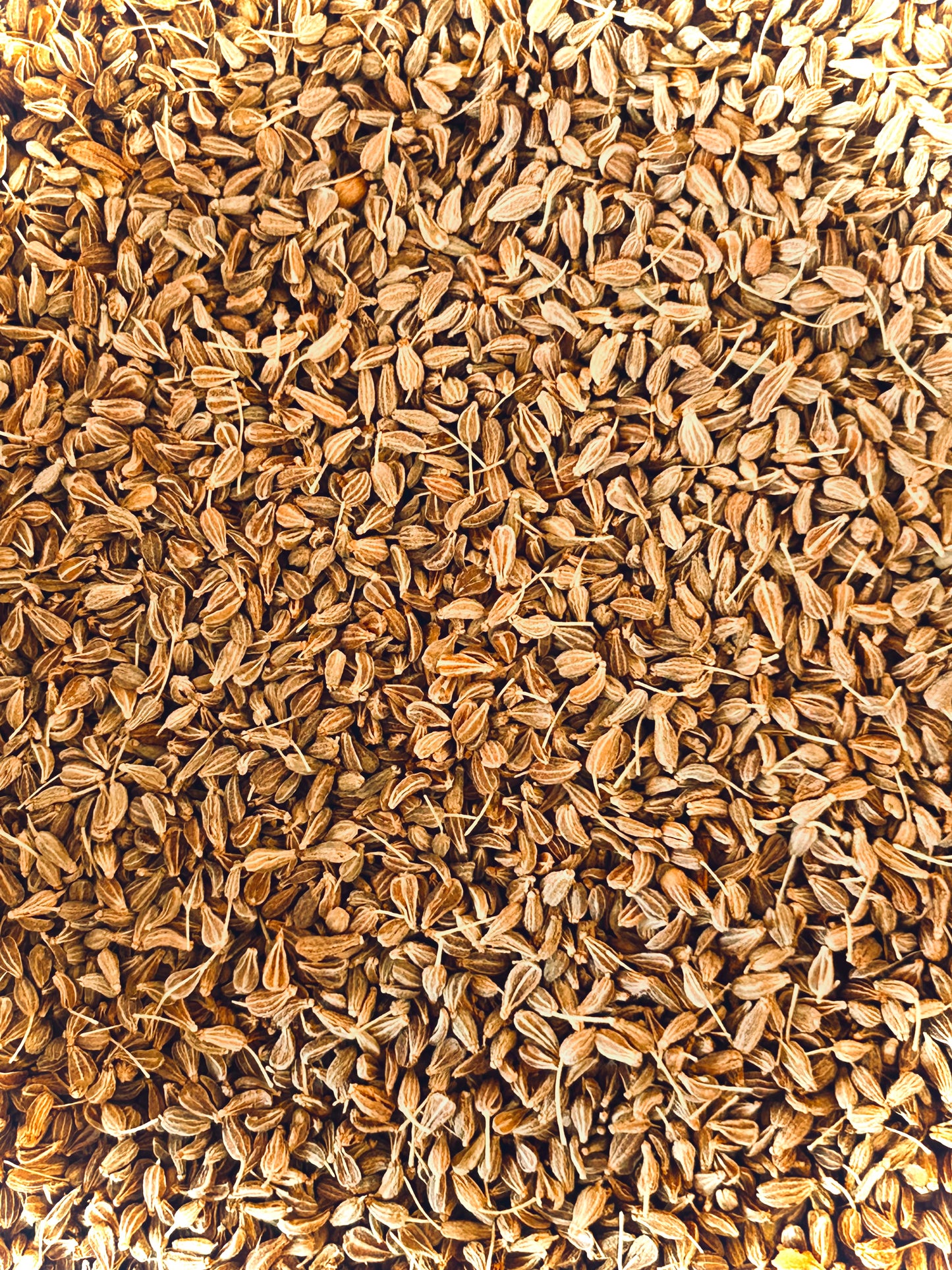 Aniseed