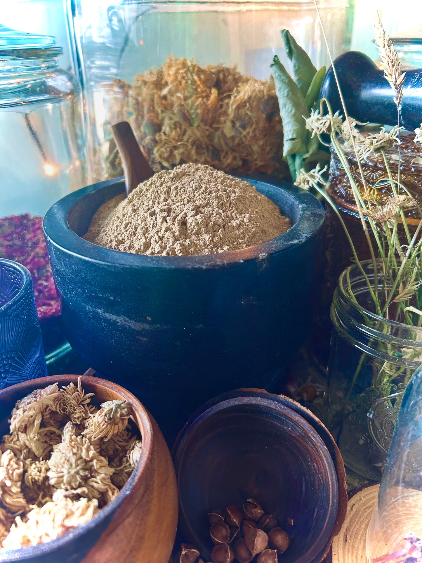 Dong Quai Root Powder (Angelica sinensis)