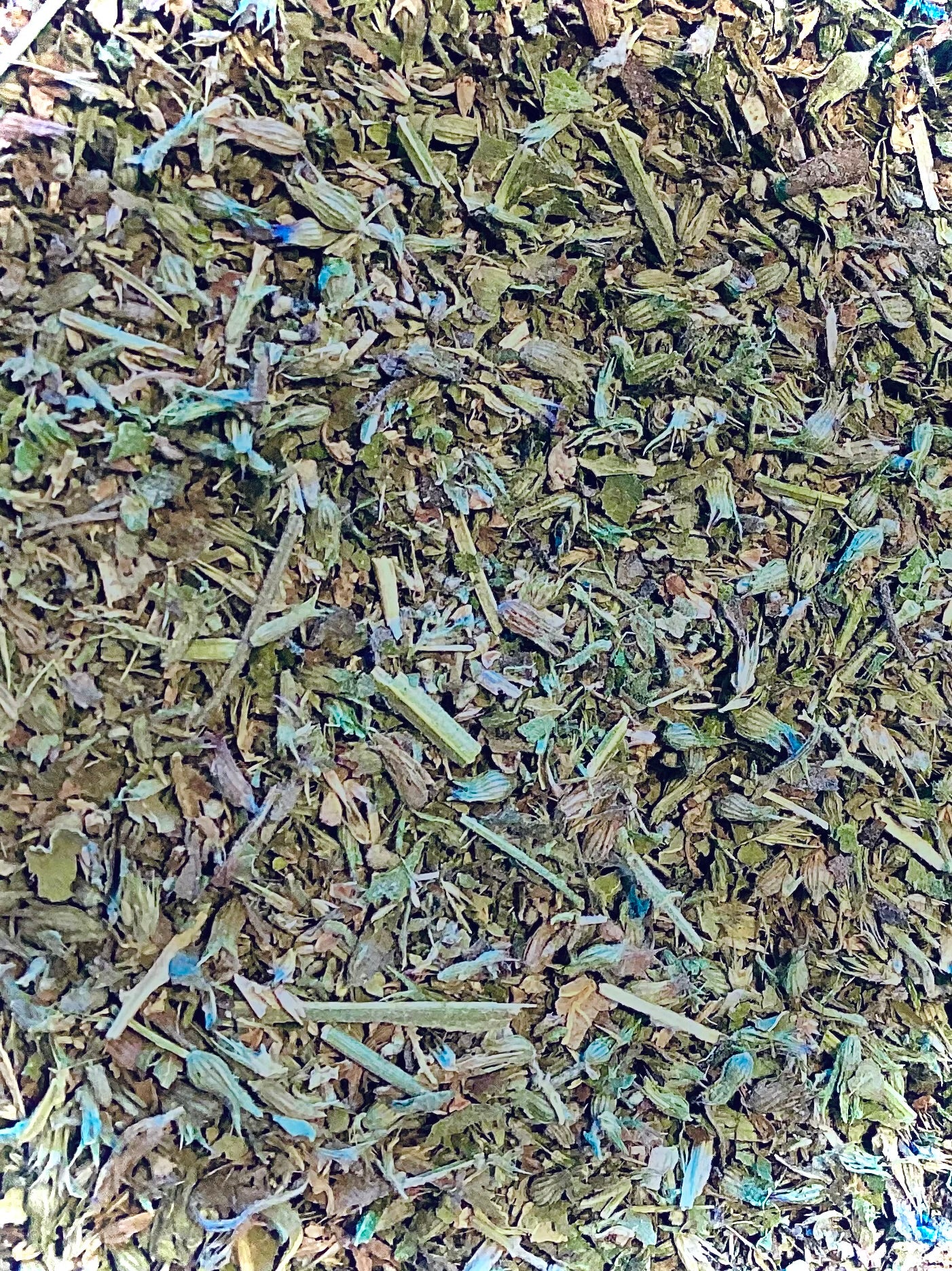 Catnip Herb C/S