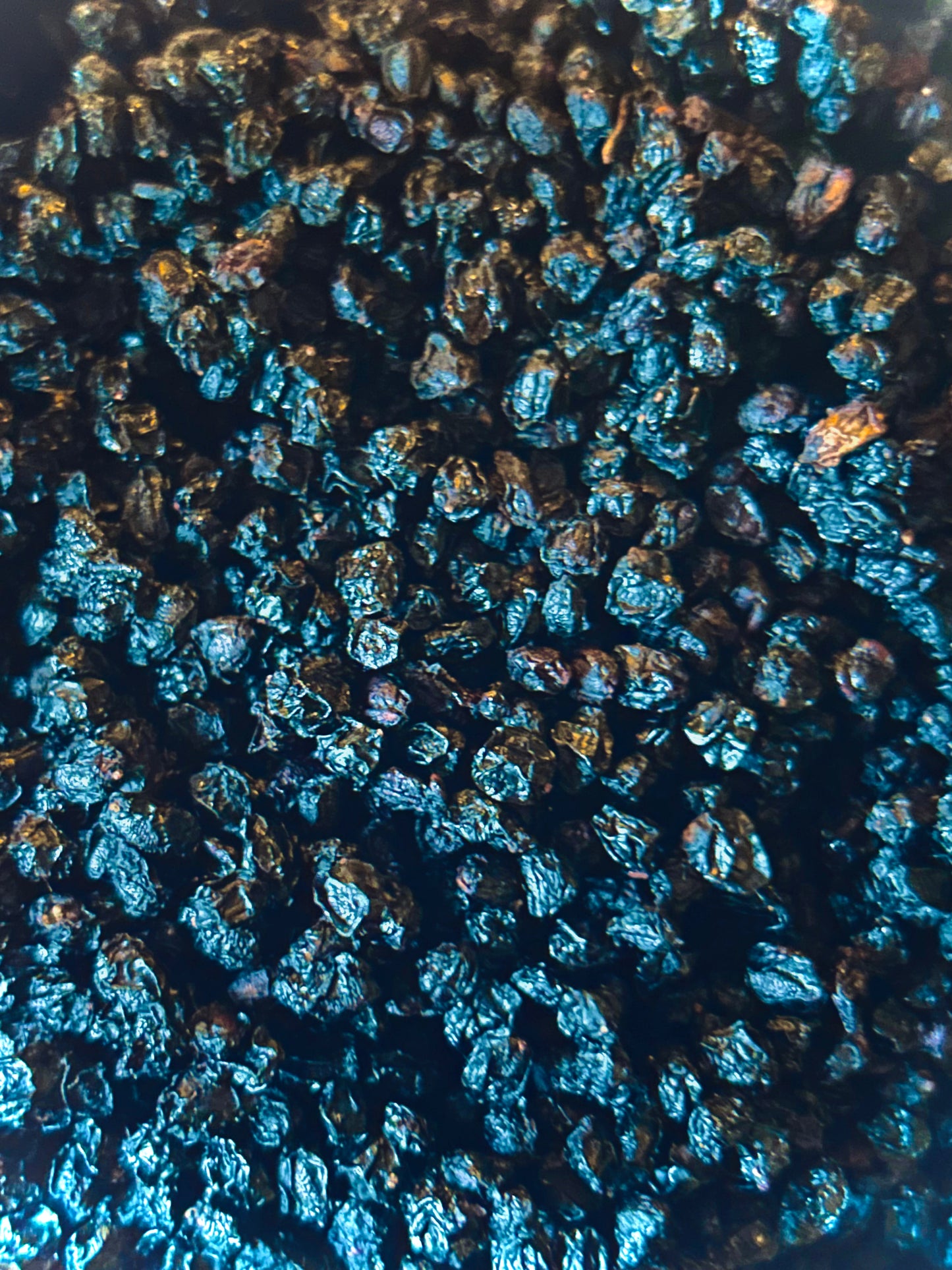 Elderberries, Organic (Sambucus nigra)