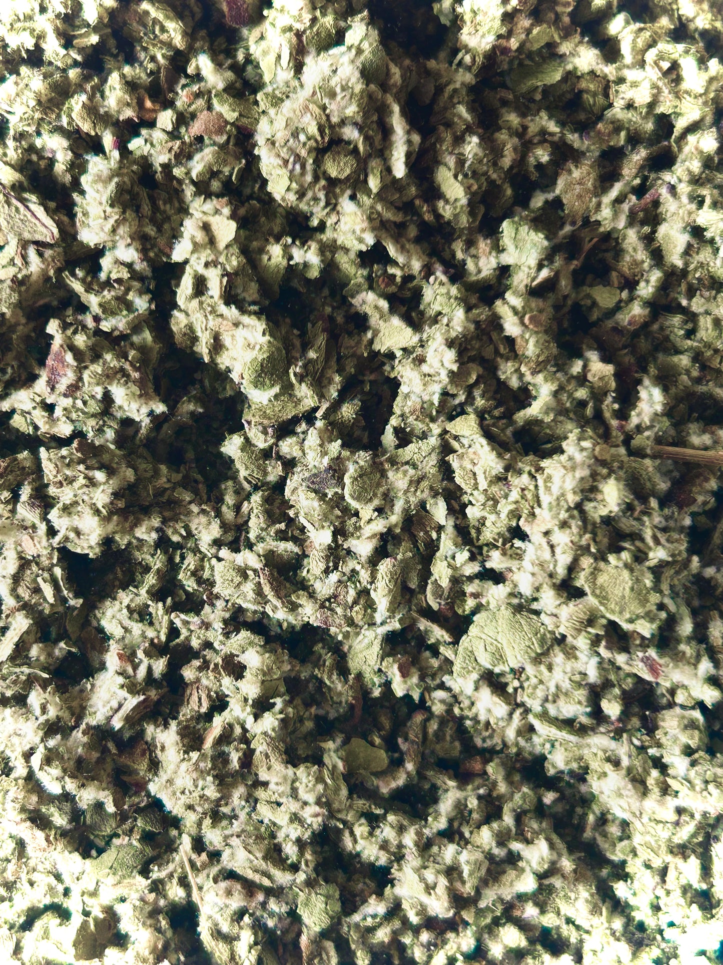 Artichoke Leaf, Organic (Cynara scolymus)