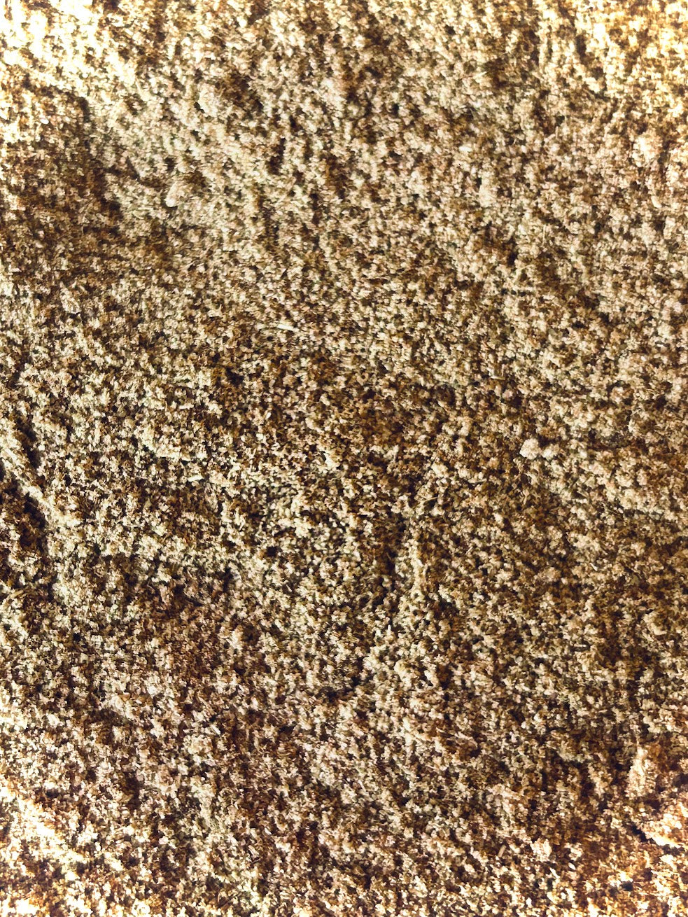 Cumin Seed Powder Organic