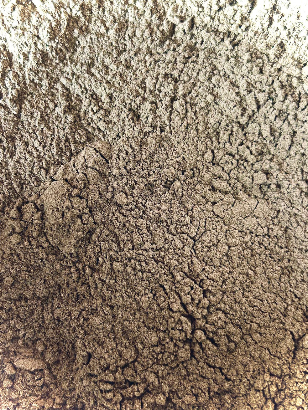 Echinacea (Purp) Powder