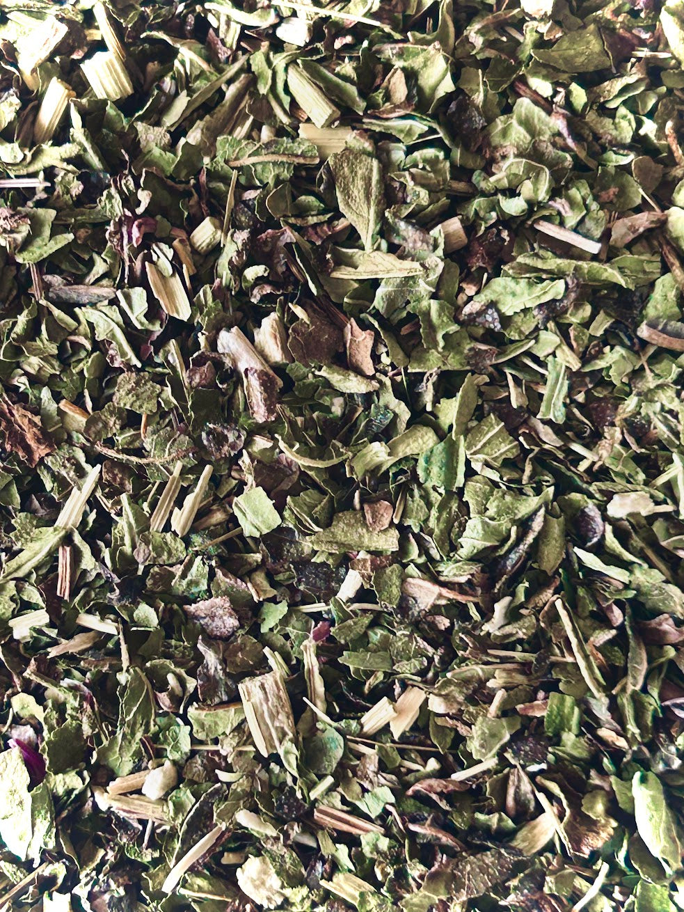Echinacea Purpurea Herb, Organic