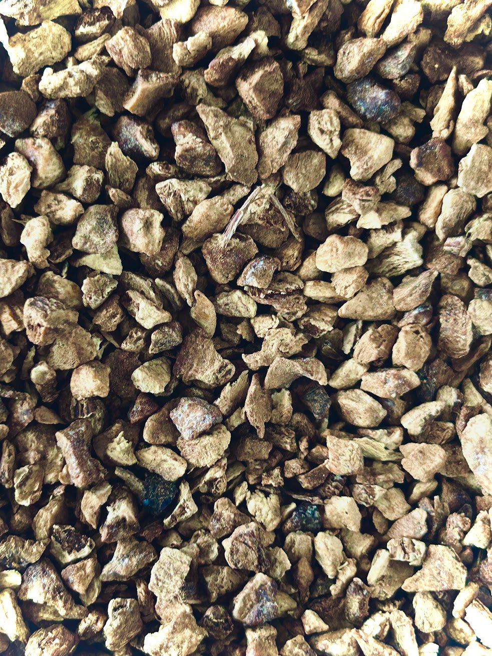 Elecampane Root (Inula Helenium) Organic