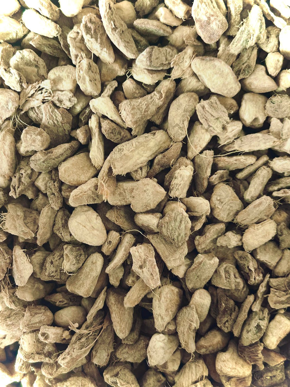 Ginger Root c/s Organic (Zingiber officinale)