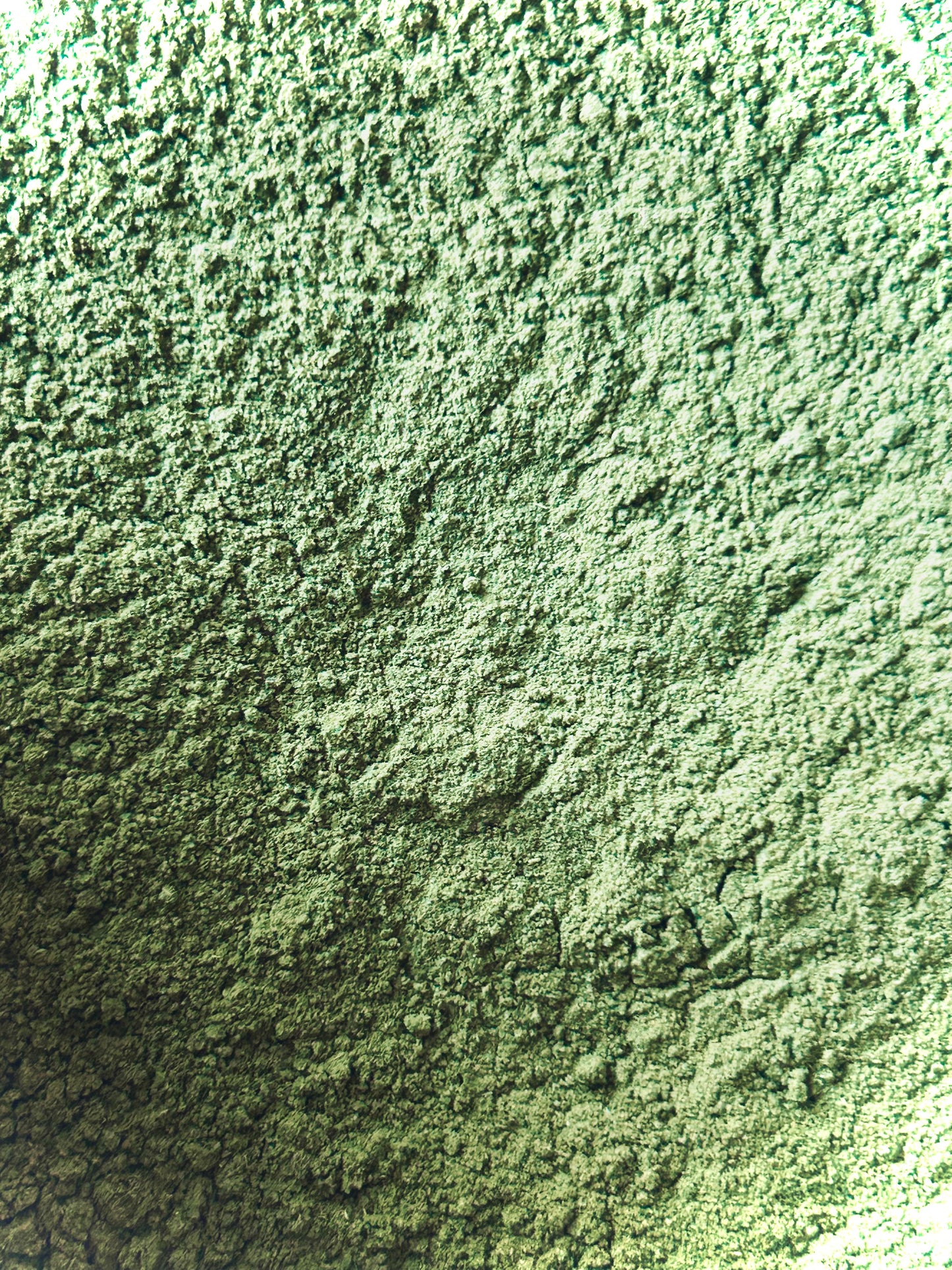 Neem Leaf Powder (Azadirachta indica)