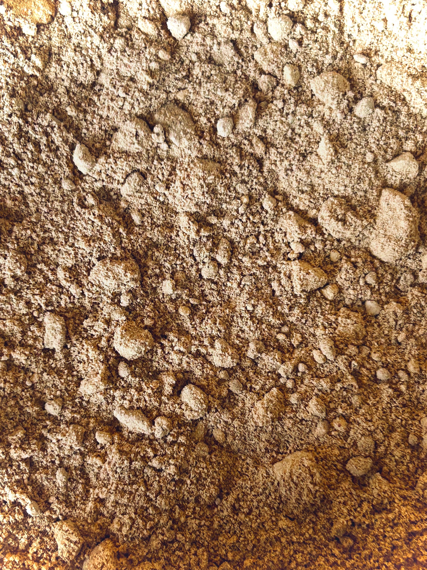 Rosehip Powder (Rosa canina)