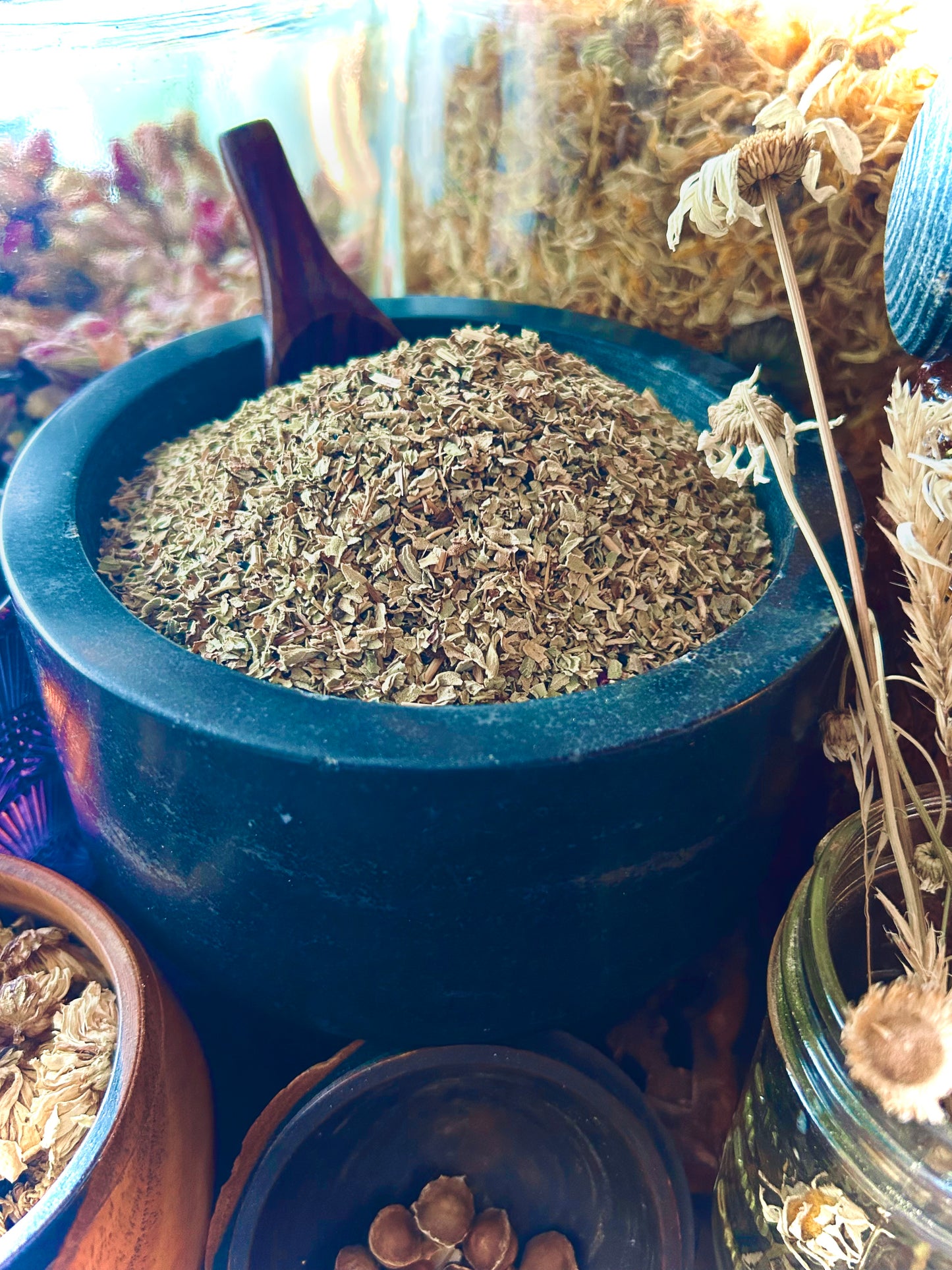 Sweet Basil Leaf (Ocimum basilicum)