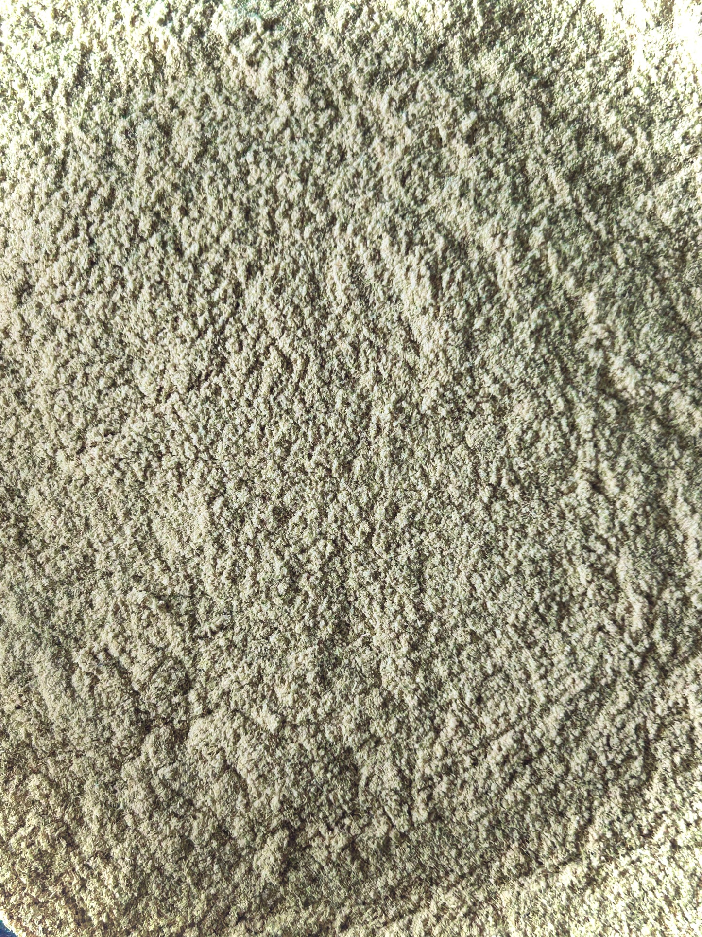 Tongkat Ali (Longjack) Extract Powder - Wild Harvested (Eurycoma longifolia)