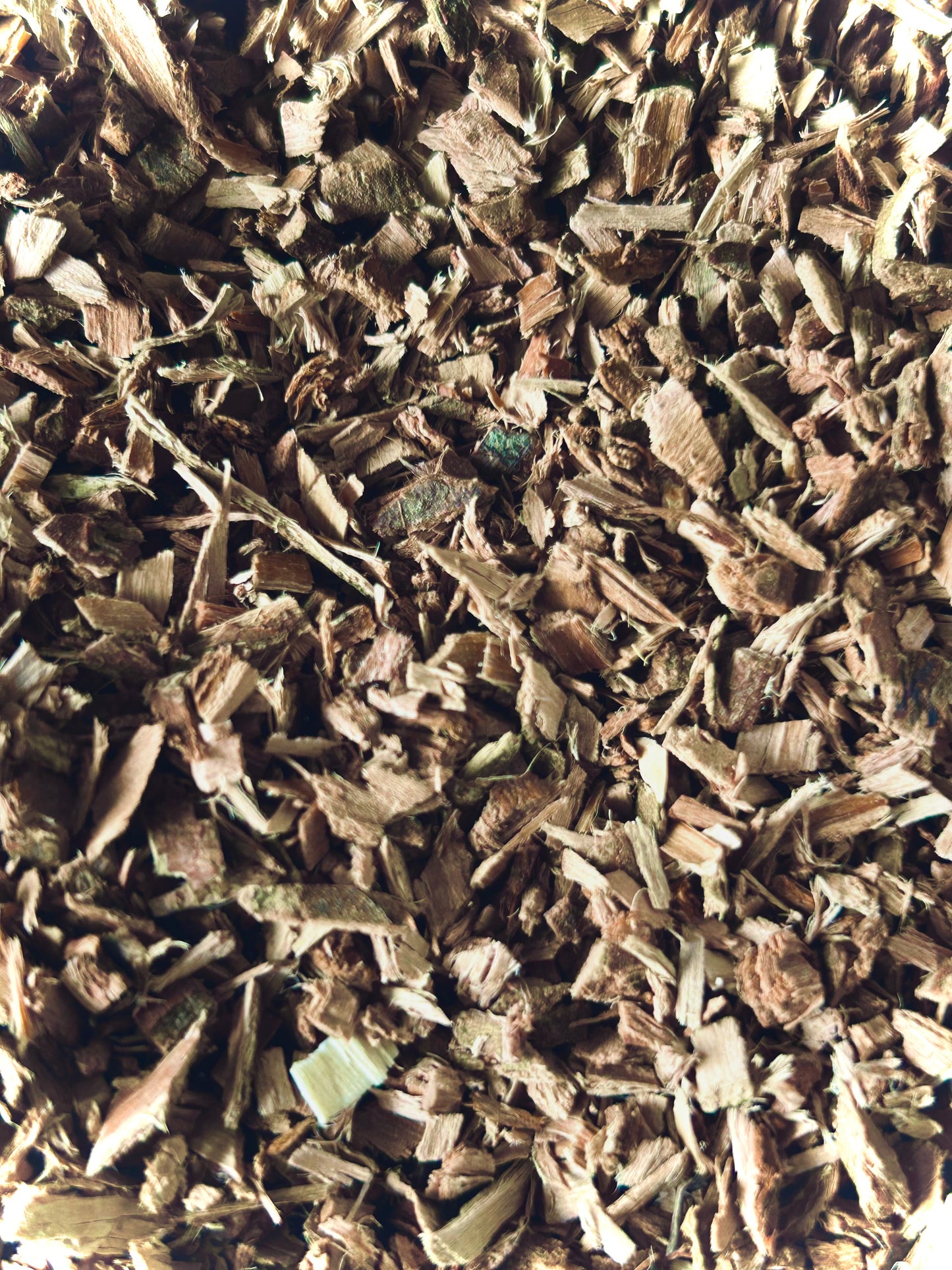 Wild Cherry Bark (Prunus Serotina)