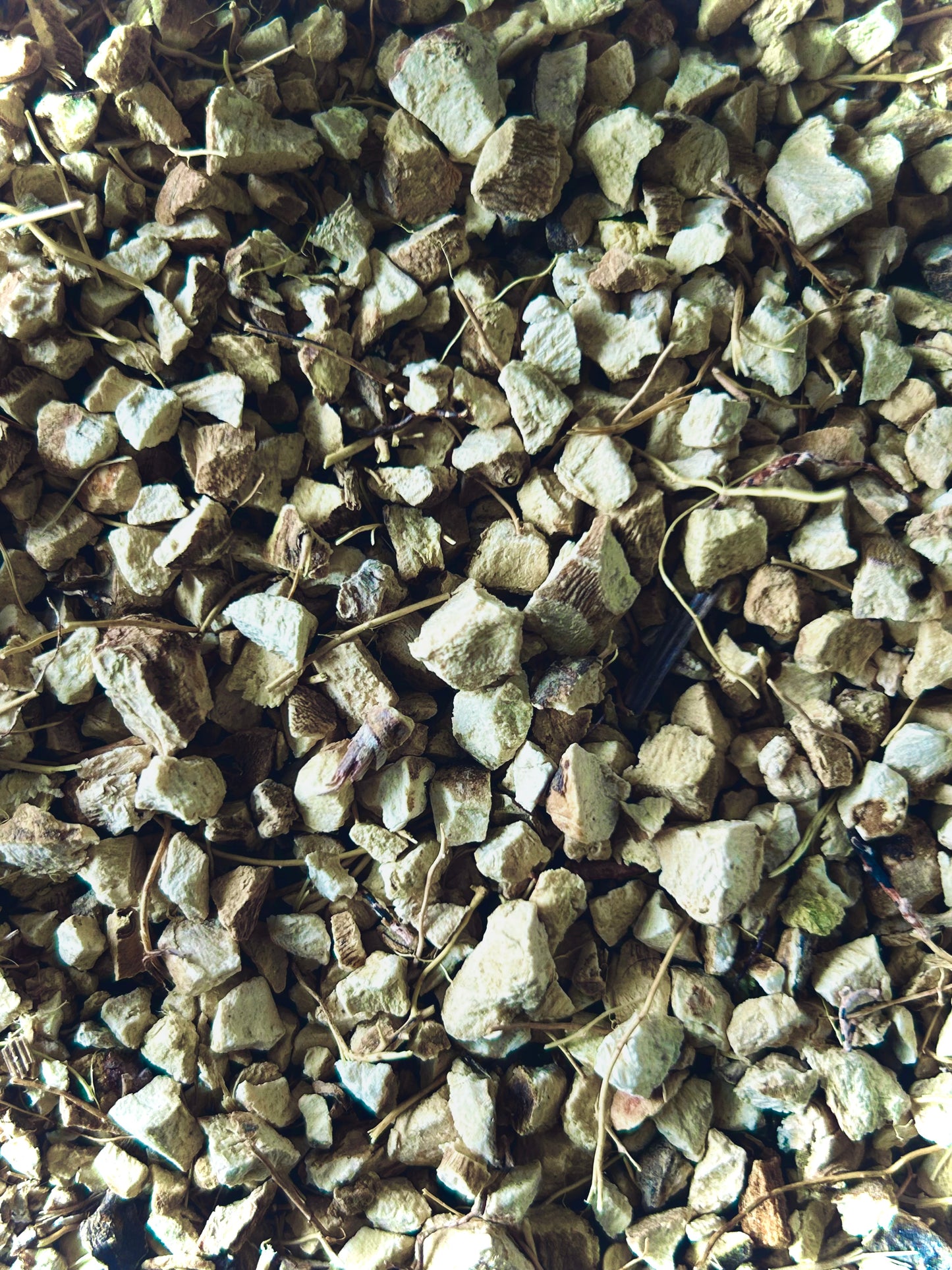 Wild Yam (Dioscorea Composita)