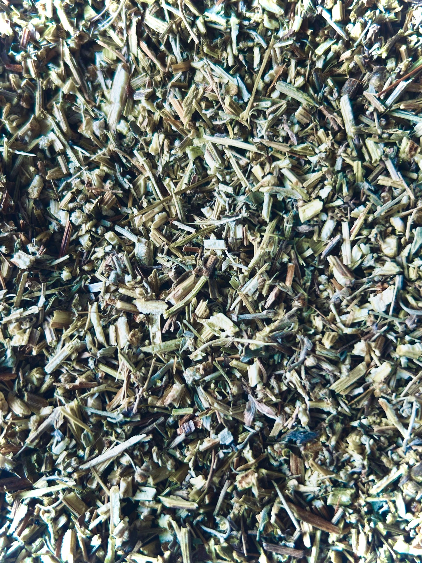Wormwood Organic (Artemisia absinthium)
