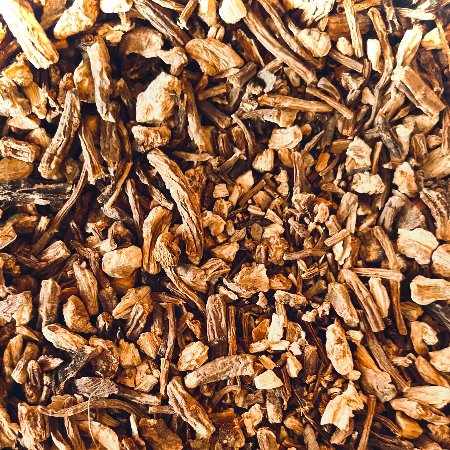 Angelica Root (Angelica arch angelica)