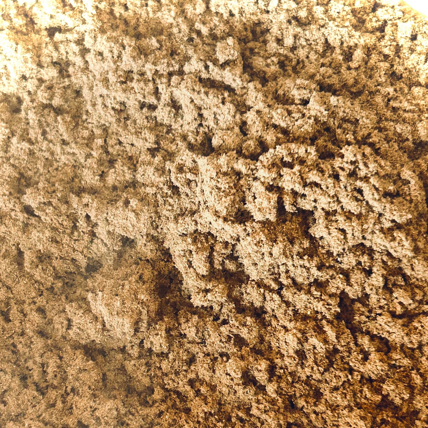 Artichoke Leaf Powder (Cynara scolymus)