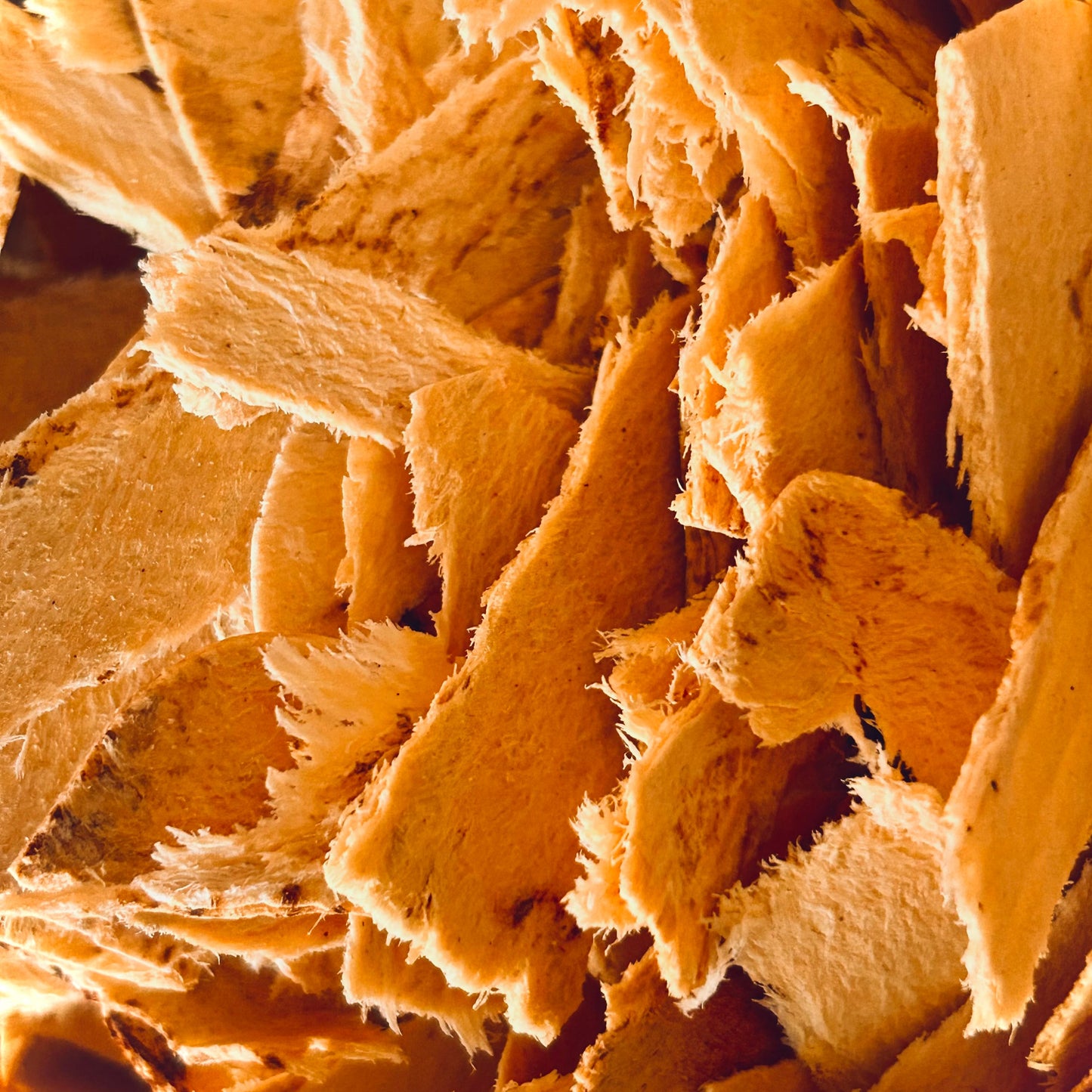Astragalus Root Sliced Organic (Astragalus membranaceus)