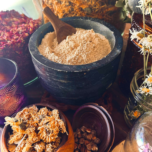 Astragalus root powder organic