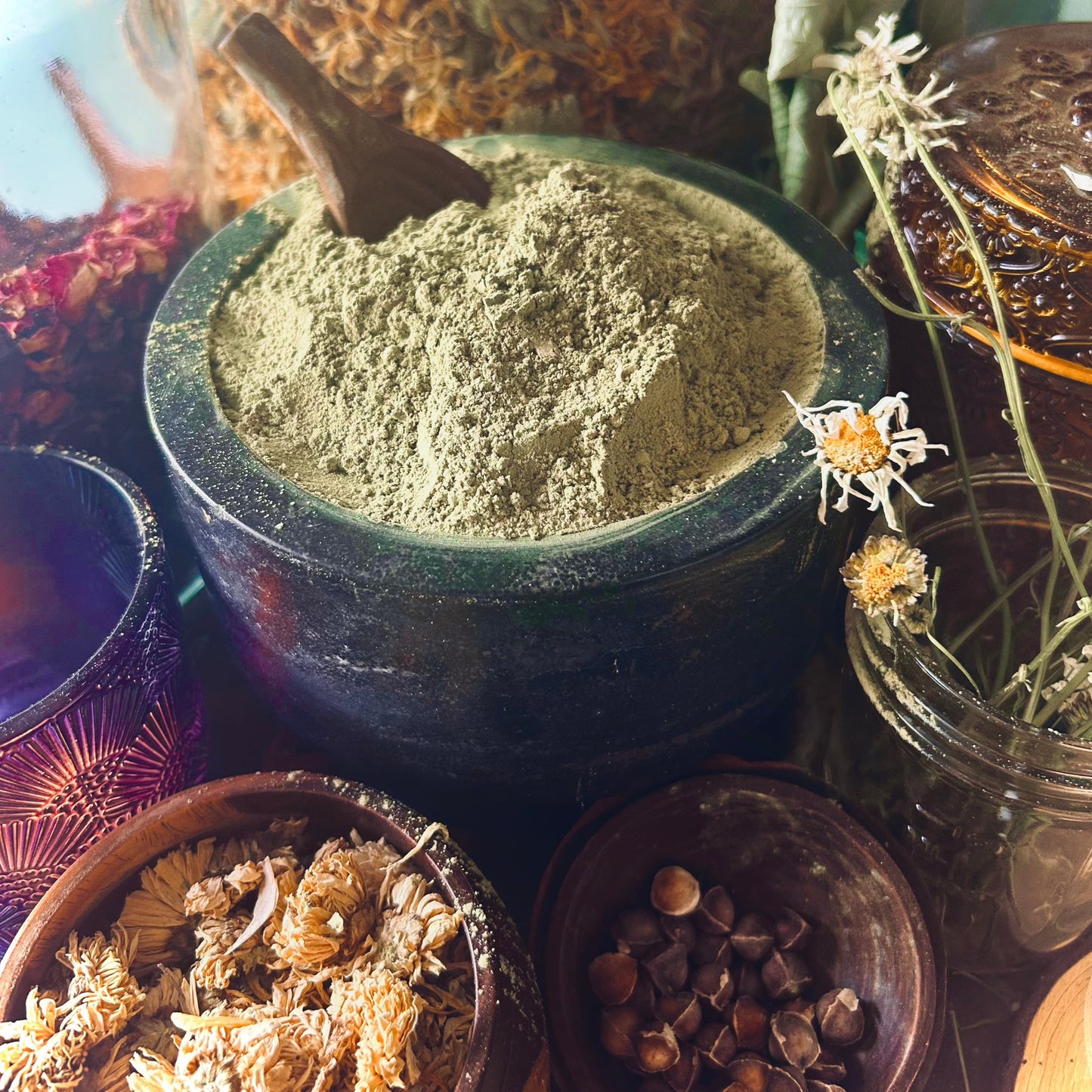 Barley Grass Powder (Hordeum vulgare)