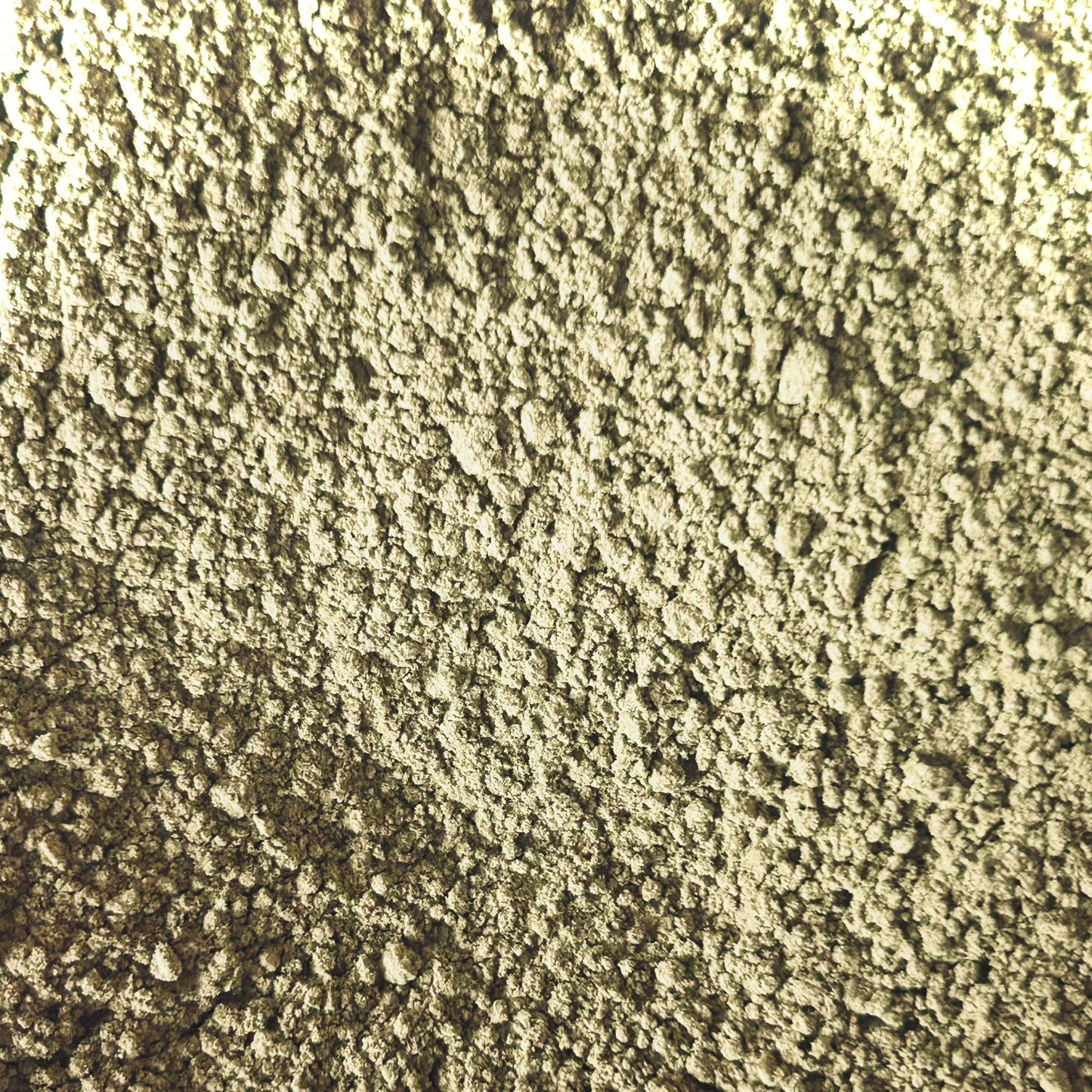 Barley Grass Powder (Hordeum vulgare)