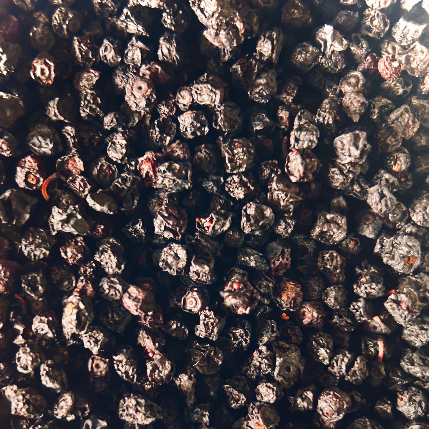 Bilberry Fruit Whole (Vaccinium myrtillus)