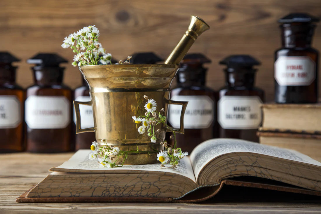 Herbal Health Consultation