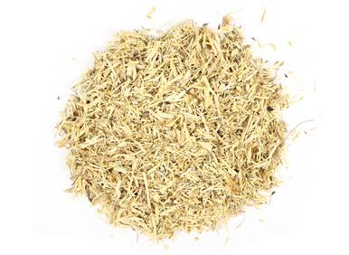 Nettel root