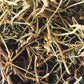 Cerasee Herb