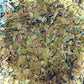 Chaparral Leaf (Larrea Tridentata) Wildcrafted