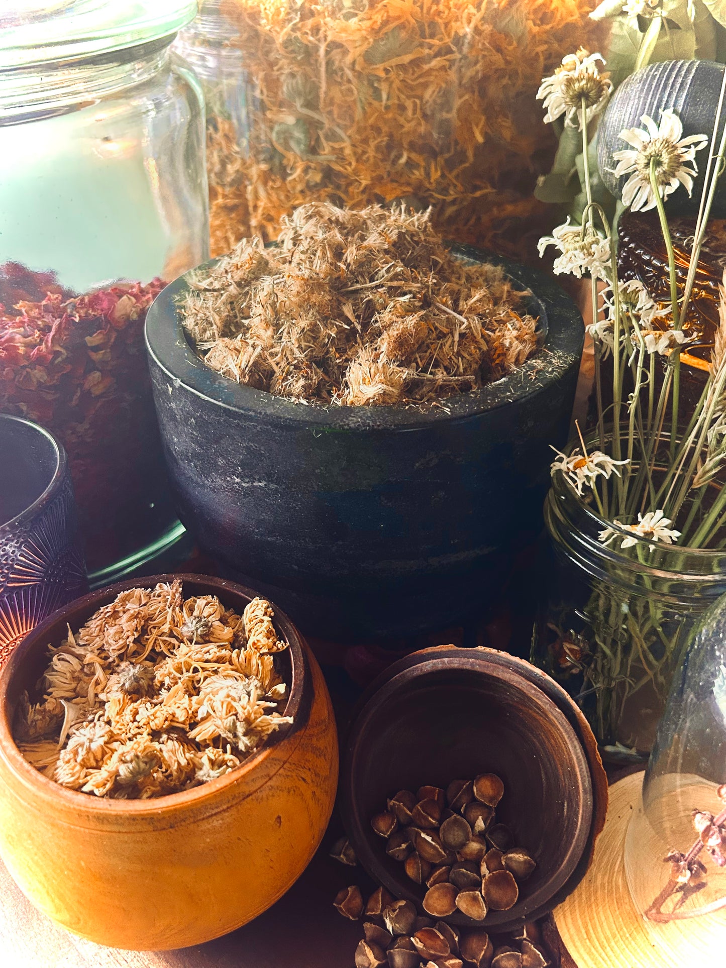 Arnica flowers