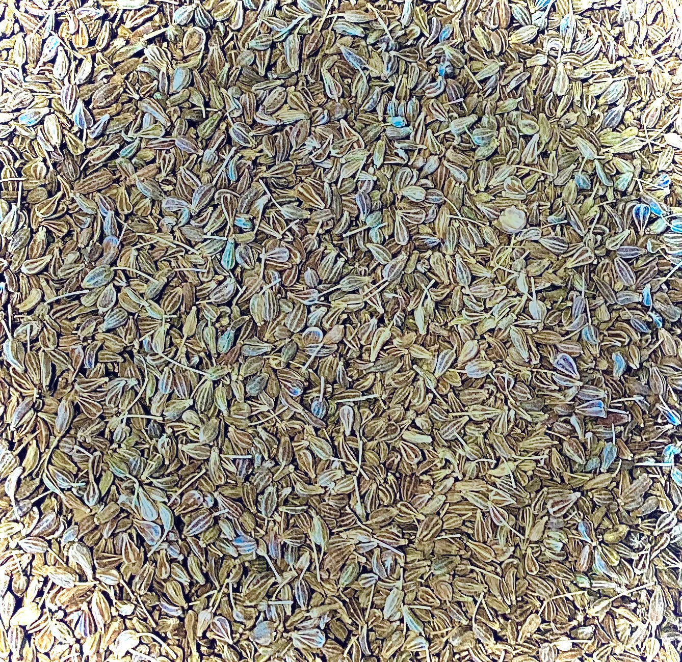 Caraway Seeds