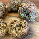 Rose of Jericho / Flower De Jericho